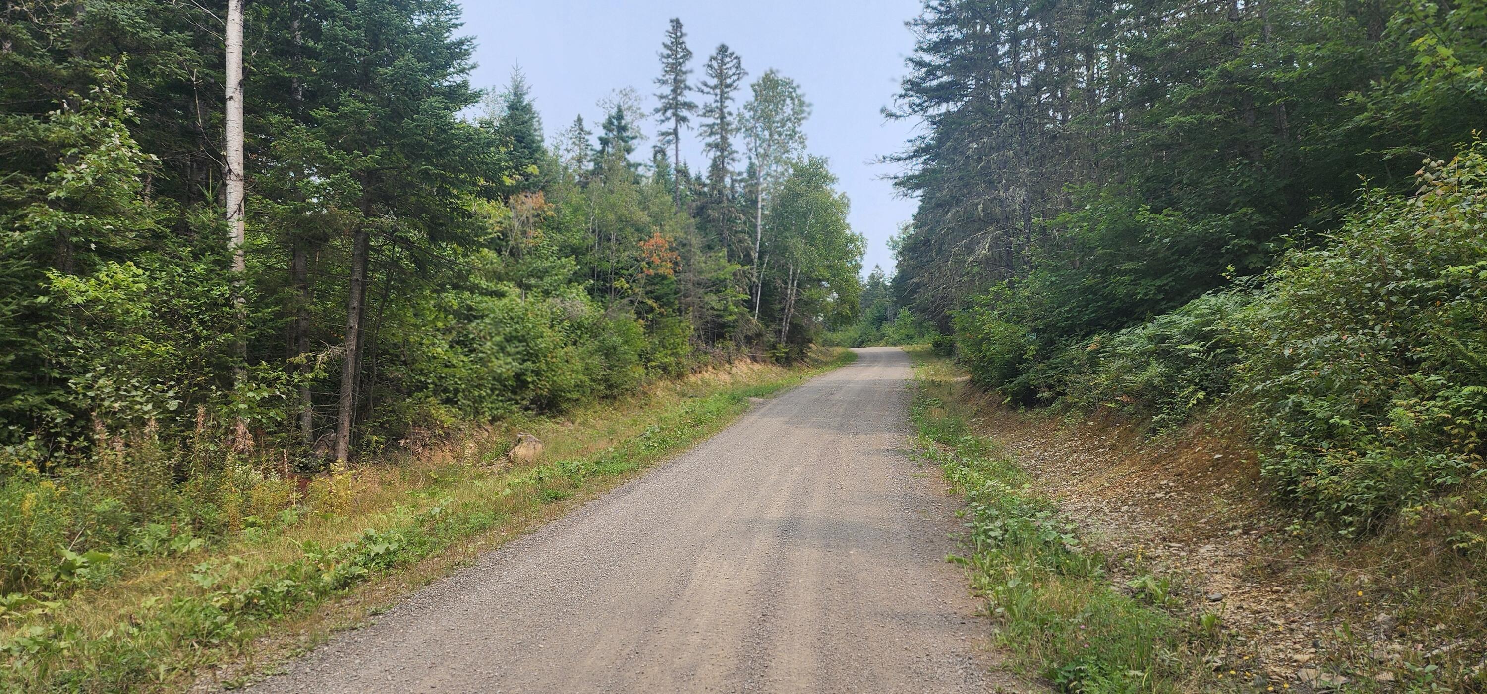 Off Fongemie Road St. David, ME 04773 - Photo 3 of 20 20240814_133657
