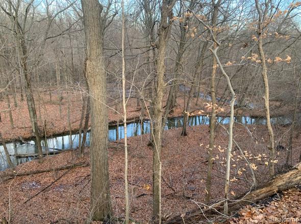 0 Territorial Road Benton Harbor, MI 49022 - Photo 18 of 23 Gallery Image 18