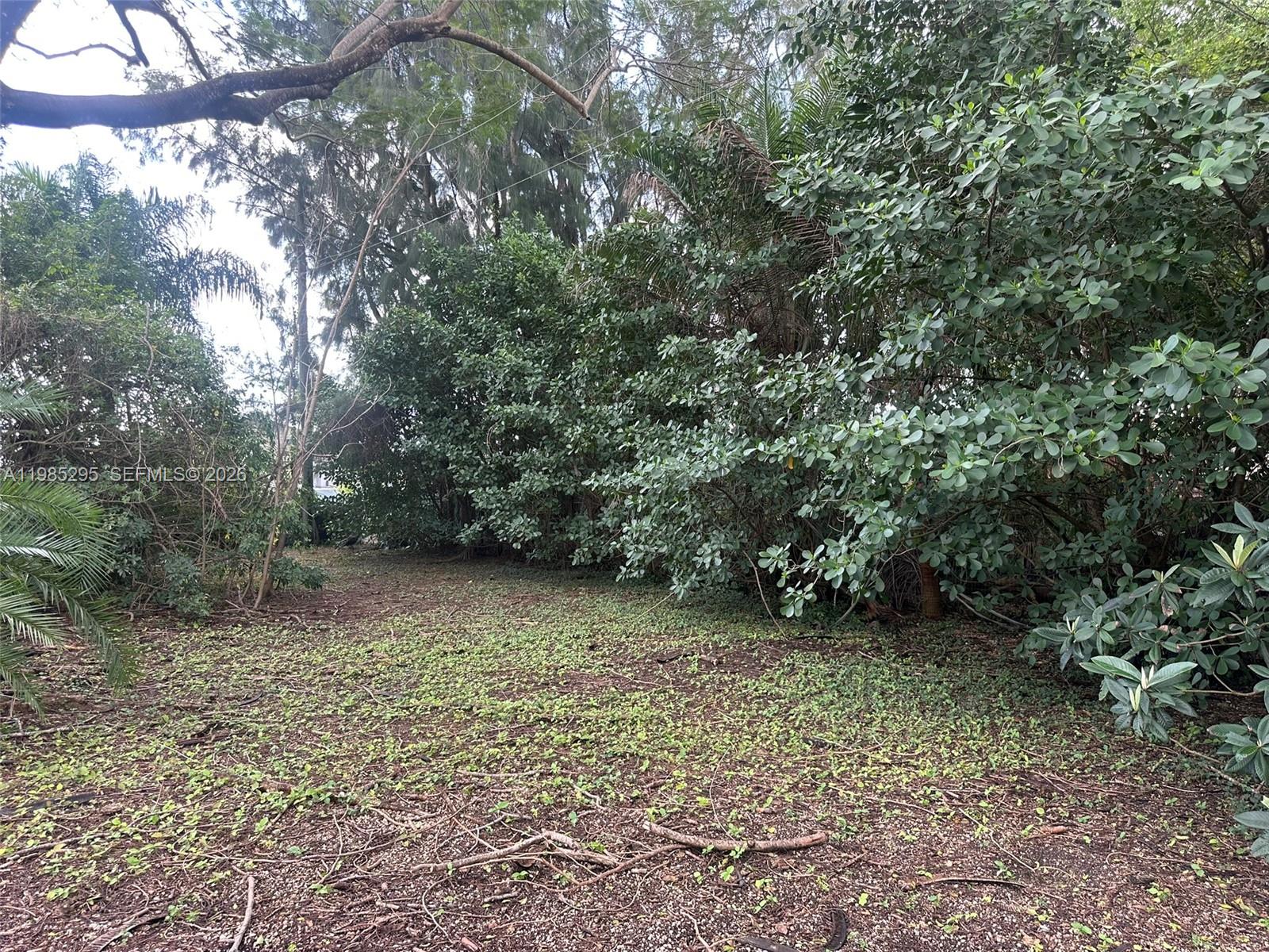 29400 Southwest 179th Avenue Homestead, FL 33030 - Photo 21 of 49 a view of a forest with trees in the background