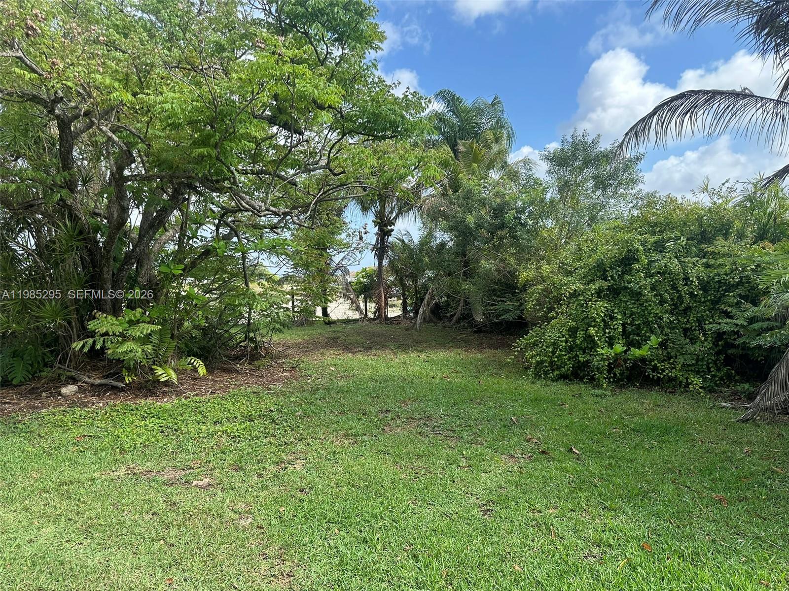 29400 Southwest 179th Avenue Homestead, FL 33030 - Photo 6 of 49 a view of an outdoor space and a yard