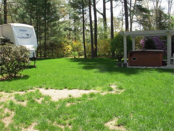 40 County Road Holyoke, MA 01040 - Photo 8 of 19 a view of a tiny house with a yard and a large tree