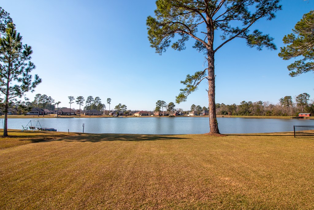 311 Cotton Ridge Lane Dothan, AL 36301 - Photo 28 of 36 Imagine Sunsets from your back porch