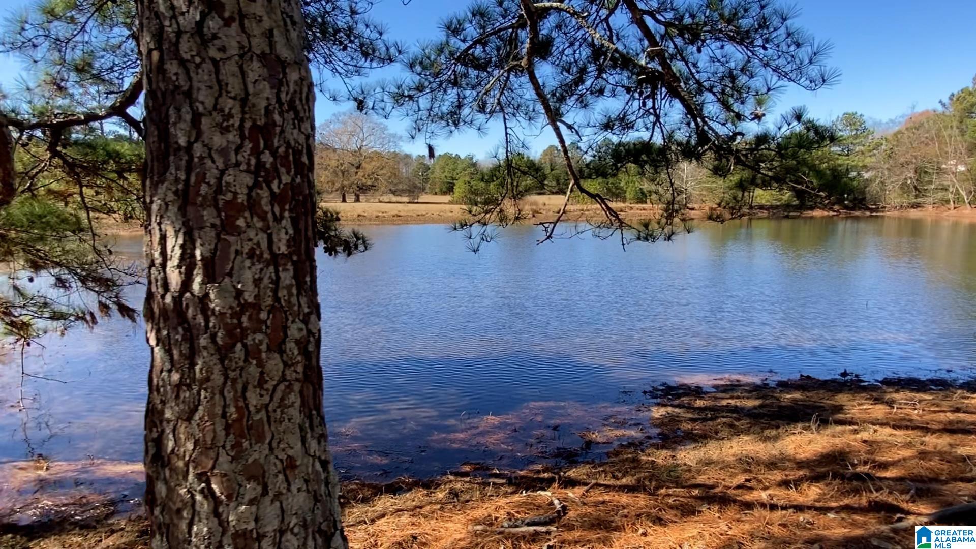0 Highway 132, Unit 11 / ACRES Oneonta, AL 35121 - Photo 6 of 18