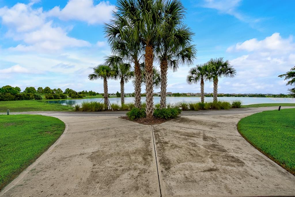 6262 Goldcoast Avenue Apollo Beach, FL 33572 - Photo 49 of 65 a view of a park