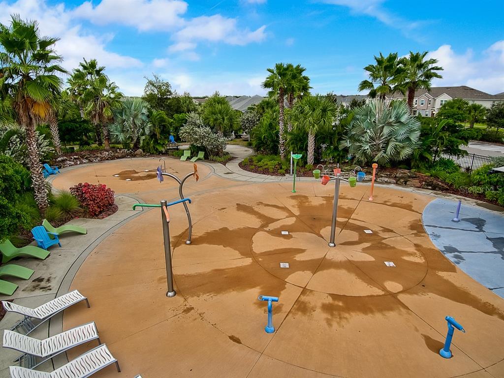 6262 Goldcoast Avenue Apollo Beach, FL 33572 - Photo 51 of 65 a view of a swimming pool with a yard