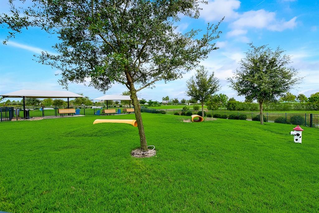 6262 Goldcoast Avenue Apollo Beach, FL 33572 - Photo 53 of 65 a view of a park with large trees