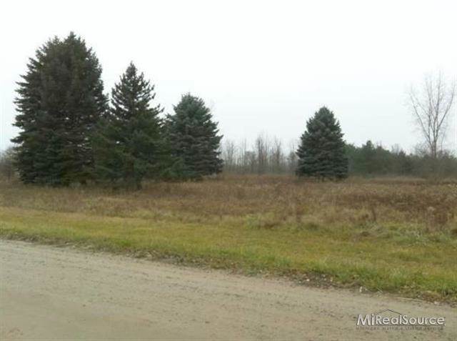 3410 Babcock Road Lexington, MI 48450 - Photo 4 of 5 31147183-4.JPG