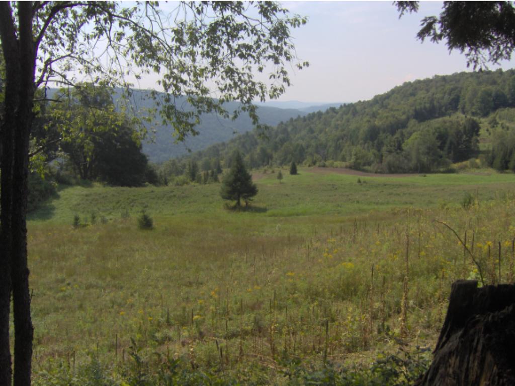 1862 Twin Pond Road Brookfield, VT 05036 - Photo 19 of 20