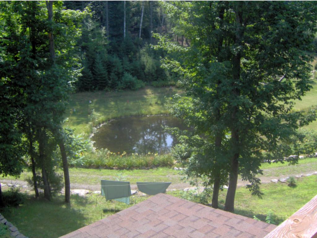 1862 Twin Pond Road Brookfield, VT 05036 - Photo 4 of 20
