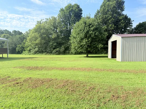 a backyard of a house with lots of green space