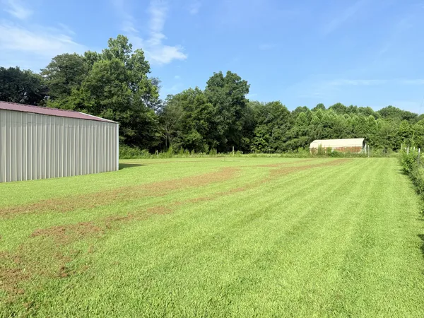 a view of a field with a big yard