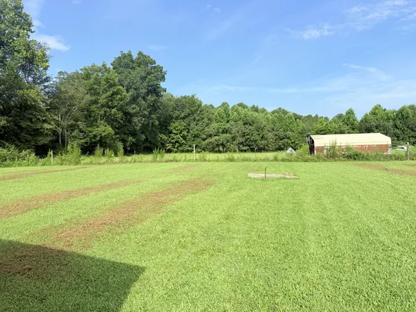 a view of a field with an ocean