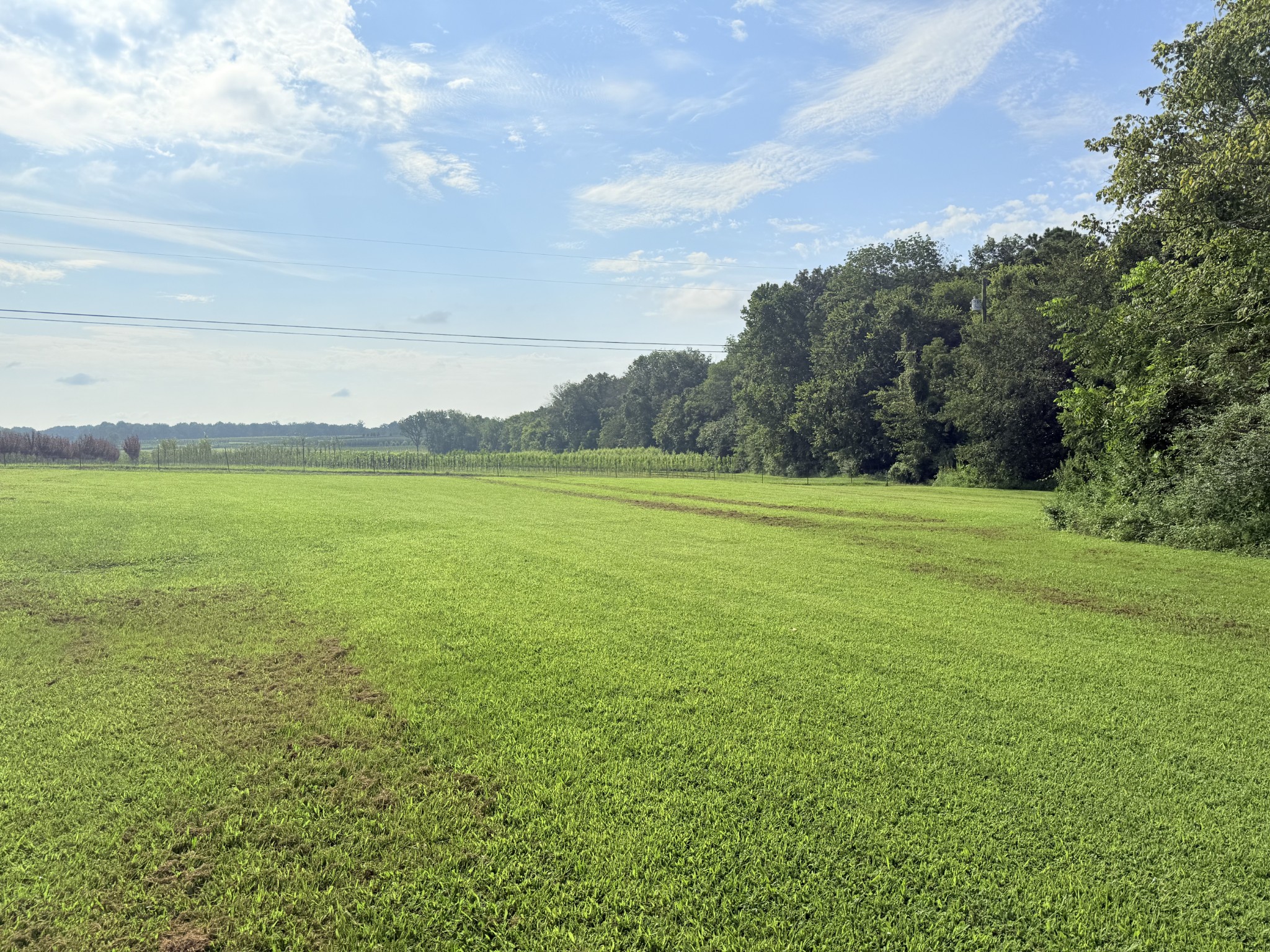 2051 Merry Oaks Road McMinnville, TN 37110 - Photo 42 of 42
