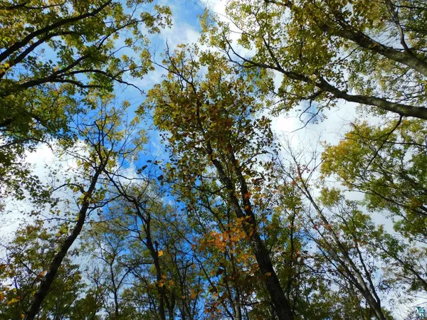 $46,000 | Xxxx Xxxx Sajdak Road, Iron River, WI 54847