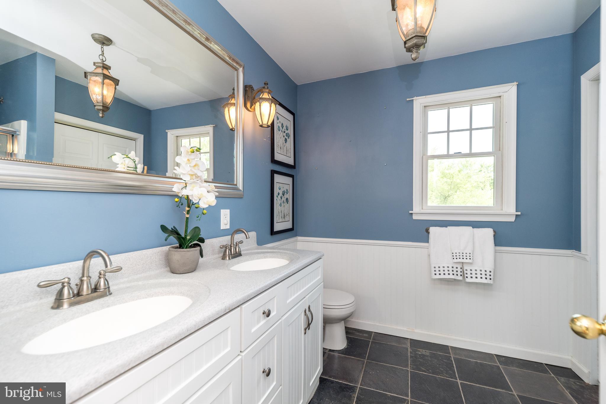 123 Iron Hill Road Doylestown, PA 18901 - Photo 20 of 34 Double sinks in primary bath