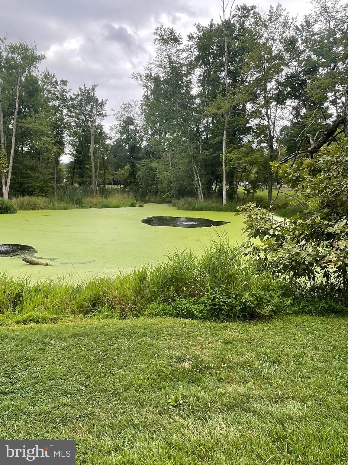123 Iron Hill Road Doylestown, PA 18901 - Photo 33 of 34 Pond by the park