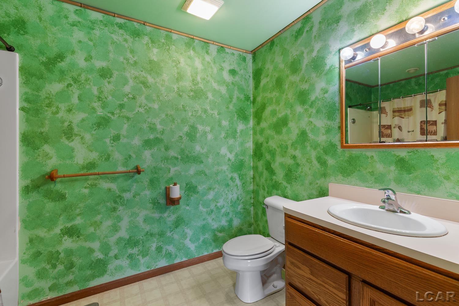 260 South Main Street Britton, MI 49229 - Photo 14 of 45