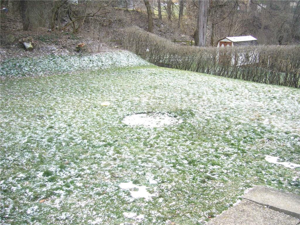 538 Agnew Road Baldwin, PA 15227 - Photo 17 of 17 Private back yard for summertime entertaining.....
