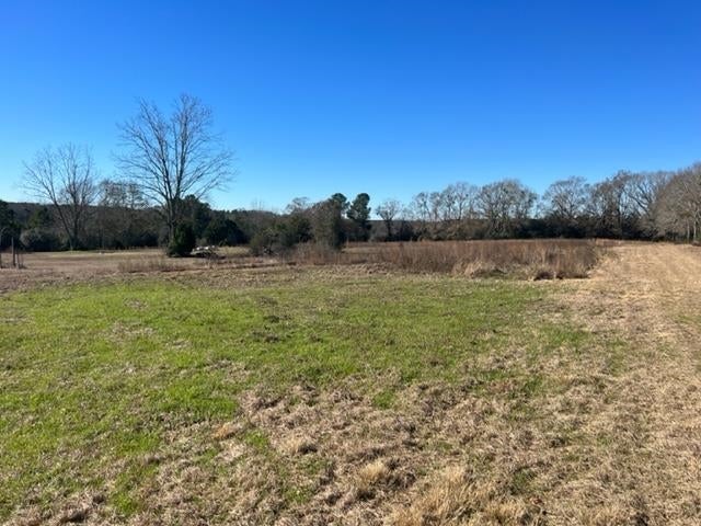 26541 Old Boggy Road Opp, AL 36467 - Photo 22 of 50 Gallery Image 22