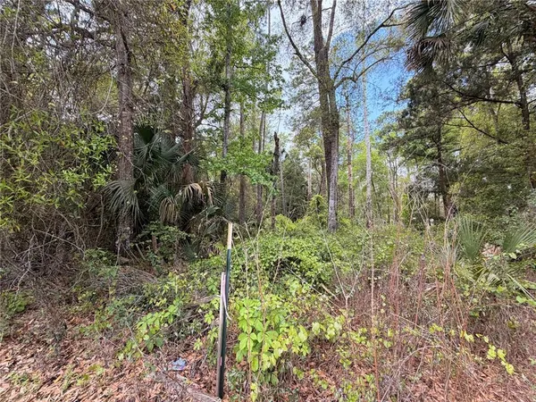 $150,000 | 445 A County Road, Astor, FL 32102