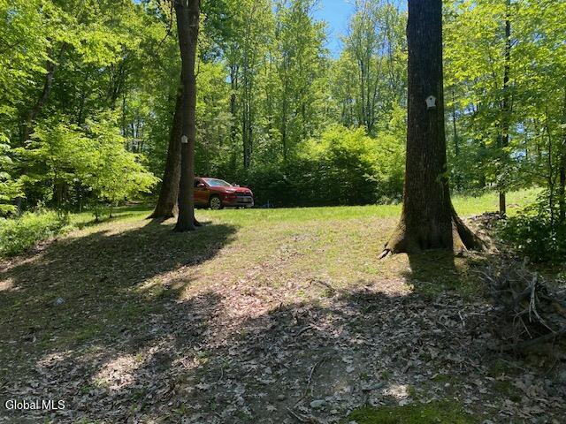 45 Weaver Dam Road Petersburgh, NY 12138 - Photo 11 of 21 IMG_5985