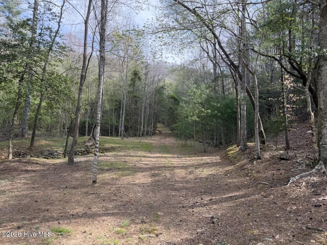 0 Ogreeta Road Murphy, NC 28906 - Photo 2 of 47