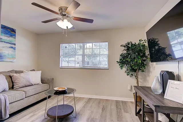 a living room with furniture and a potted plant