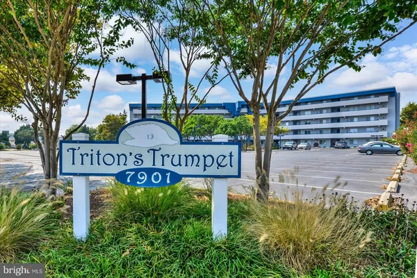 a front view of a residential apartment building with a yard