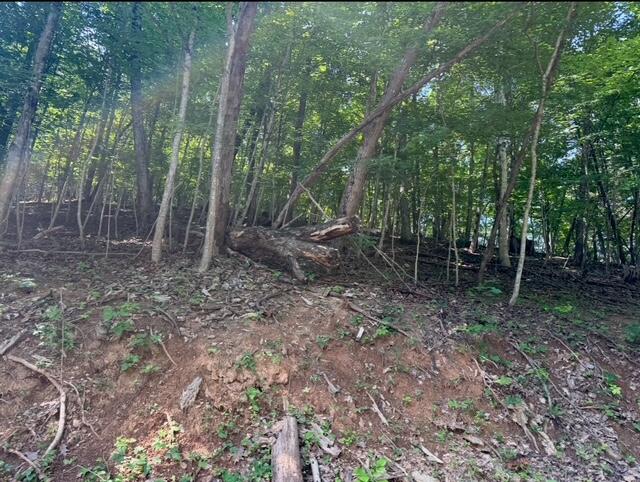0 Zana Road Salem, VA 24153 - Photo 3 of 7 a view of a forest with trees in the background