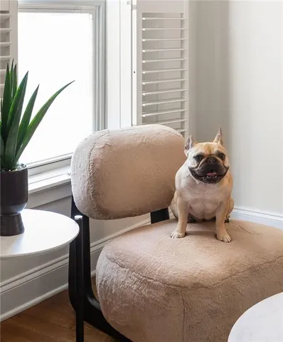 a bedroom with a bed and a potted plant