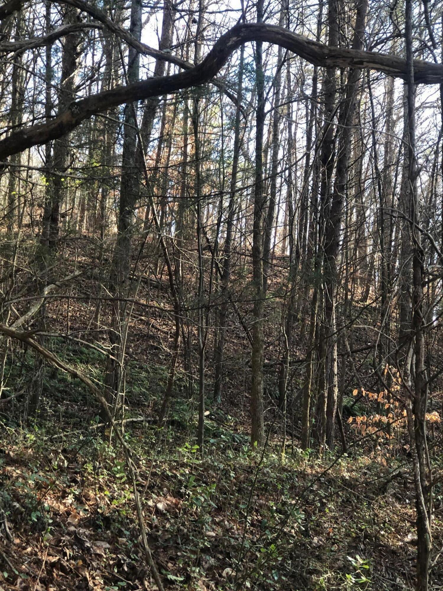 0 South R Highway Whitwell, TN 37397 - Photo 1 of 15 Gallery Image 1