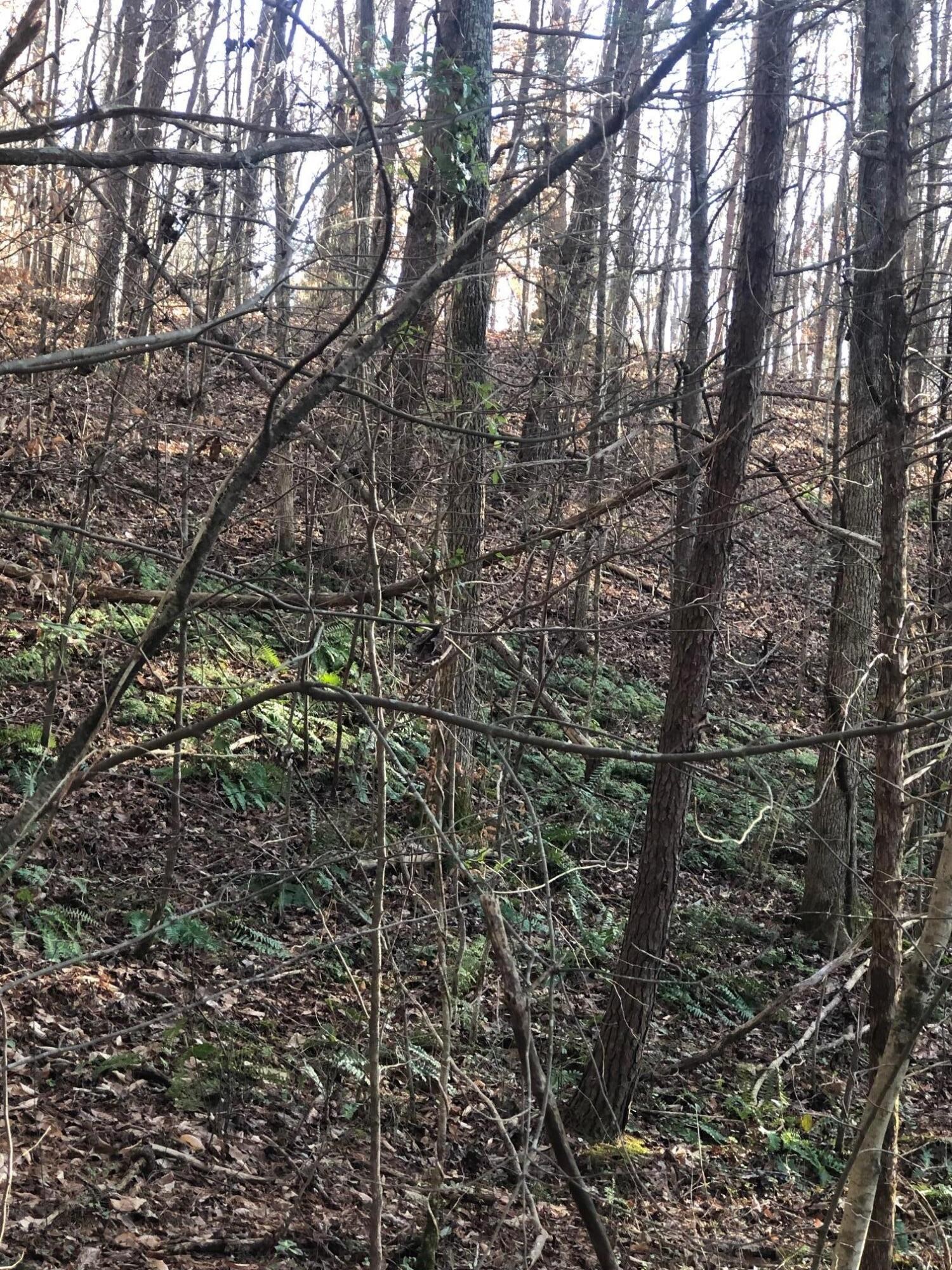 0 South R Highway Whitwell, TN 37397 - Photo 5 of 15 Gallery Image 5