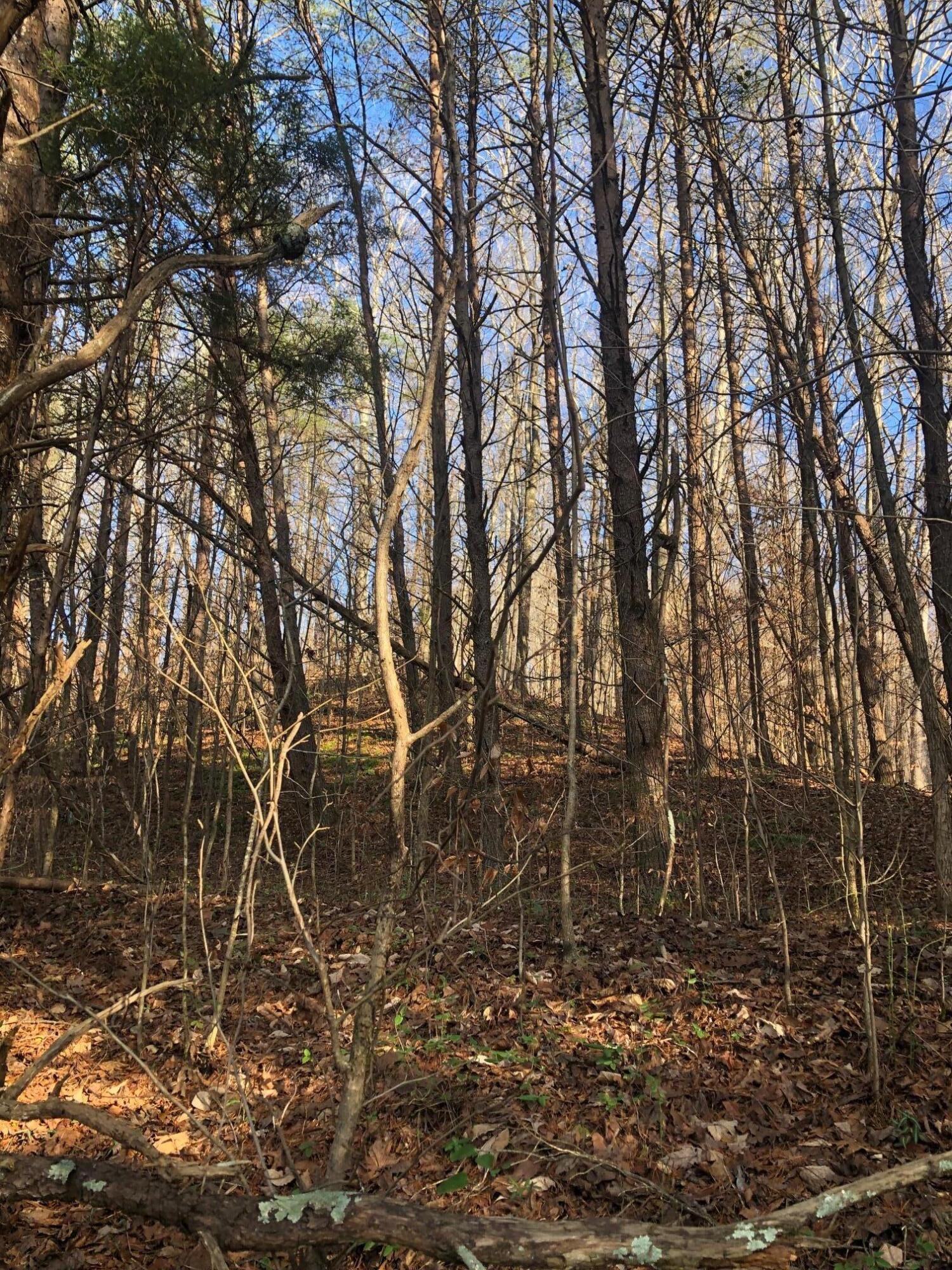 0 South R Highway Whitwell, TN 37397 - Photo 8 of 15 Gallery Image 8