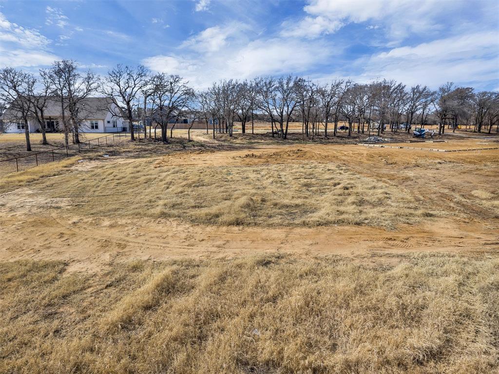 2203 Rattler Way Tolar, TX 76476 - Photo 5 of 7 a view of yard with trees