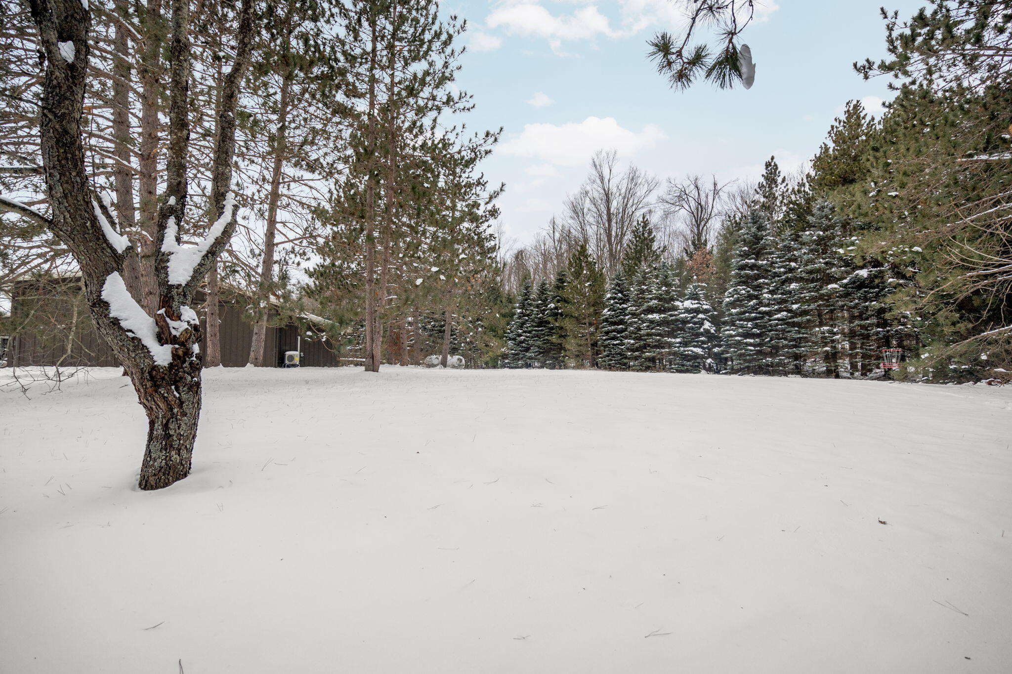 3995 Old Vanderbilt Road Vanderbilt, MI 49795 - Photo 53 of 89 IMG_0386