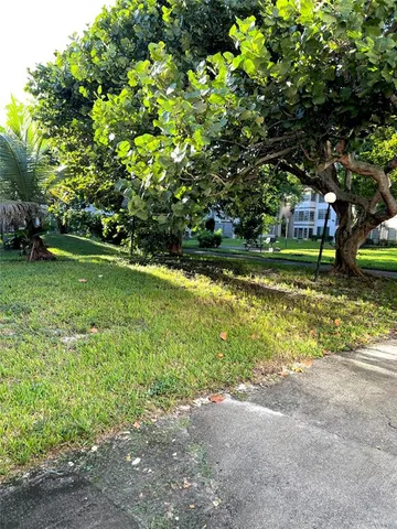 a view of a yard with a tree