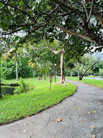 a green field with lots of trees