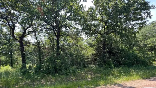 $15,000 | Tbd Tbd Natchez Trail, Mabank, TX 75156