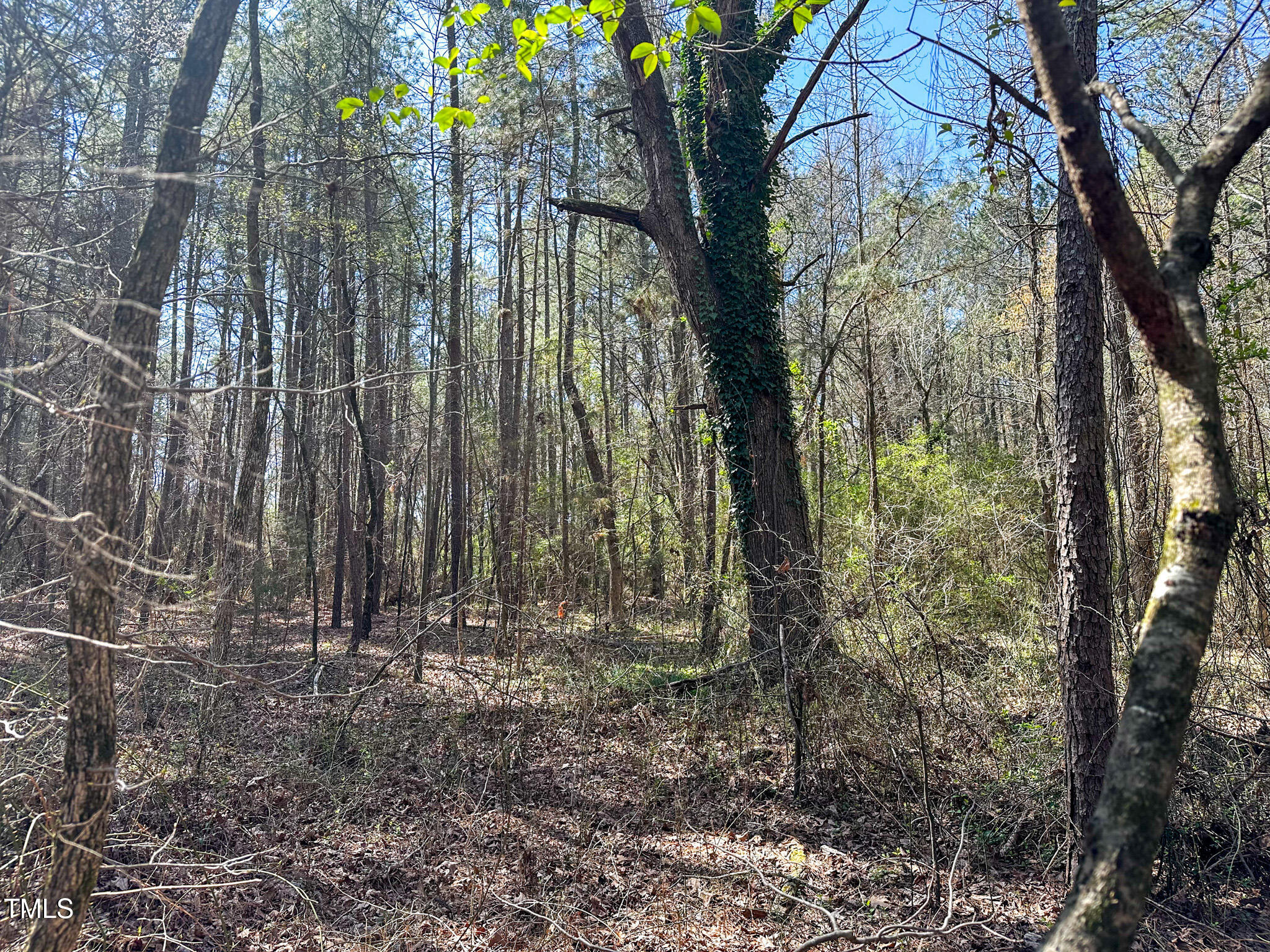 0 Brower Road Siler City, NC 27344 - Photo 10 of 15 Brower Road 10