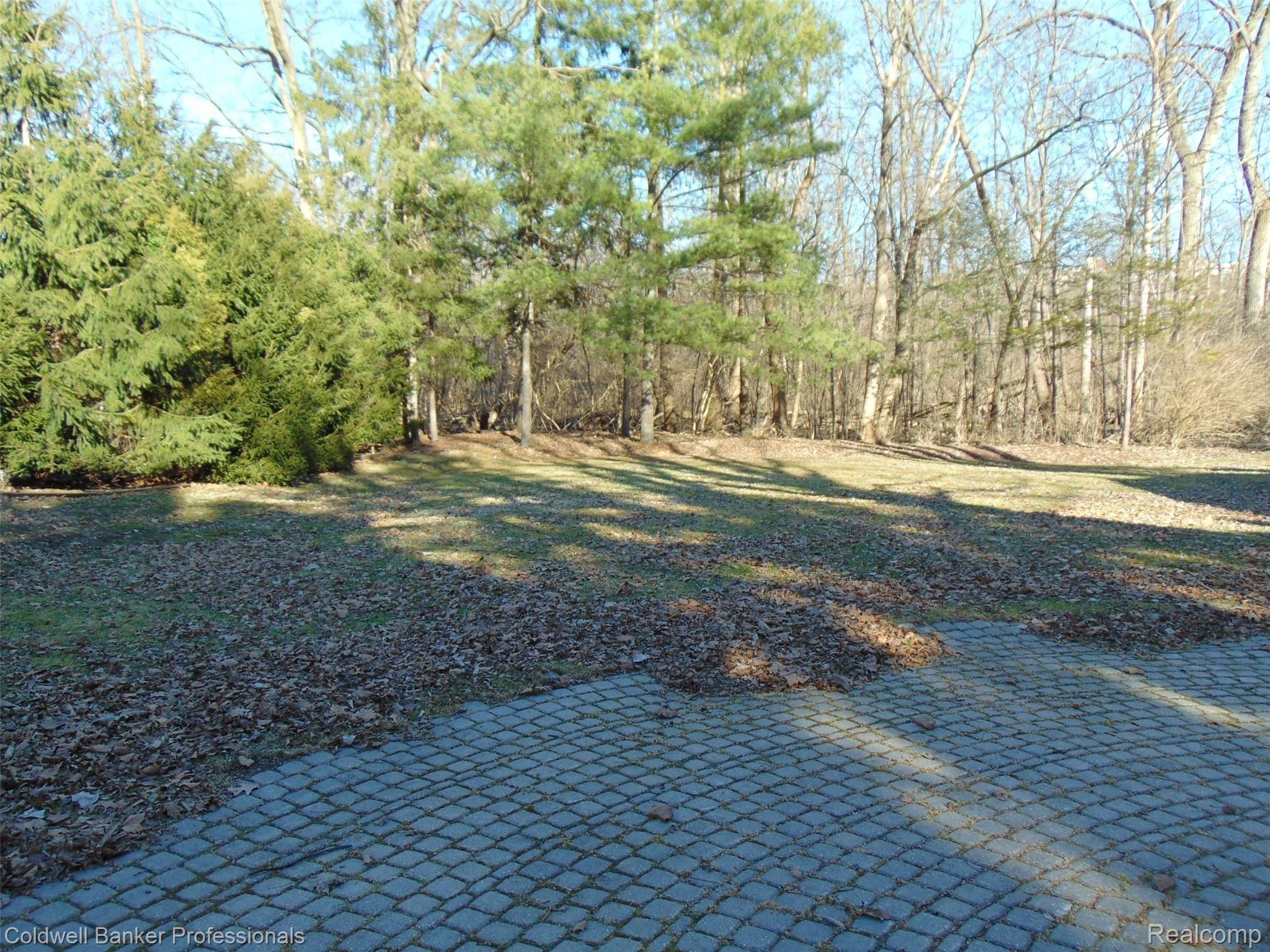 164 Baldwin Road Birmingham, MI 48009 - Photo 3 of 52 DSC02789 (2).jpg