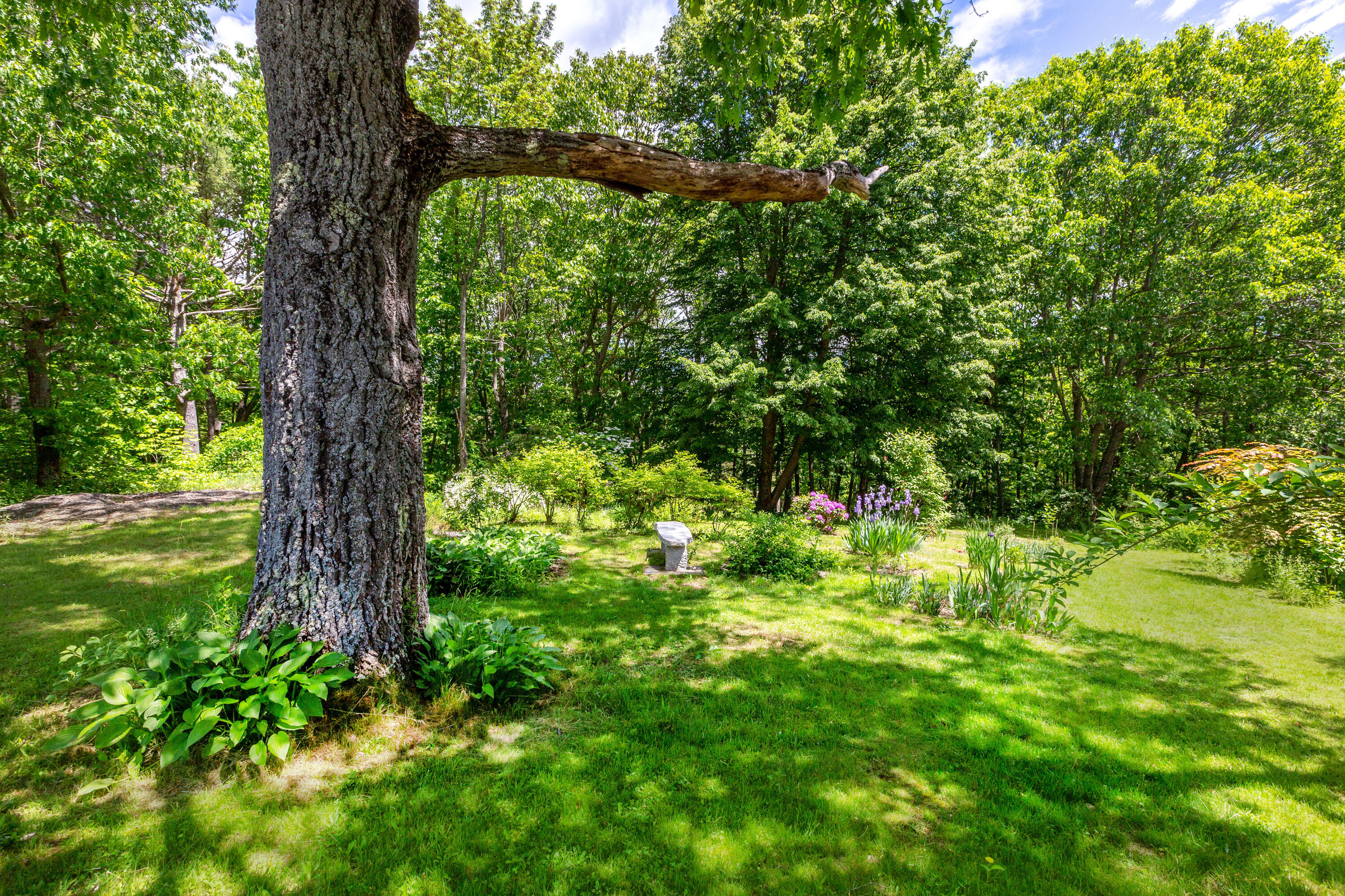 224 Birch Point Road Wiscasset, ME 04578 - Photo 10 of 79 Birch Point_Dunbar_10