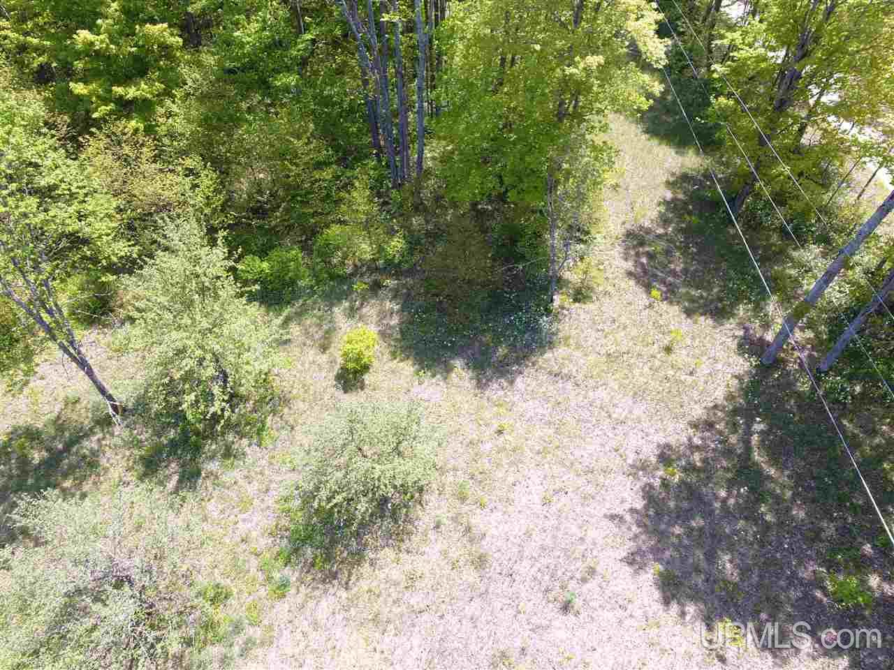 Tbd Tbd Akkala Road Eben Junction, MI 49825 - Photo 3 of 12