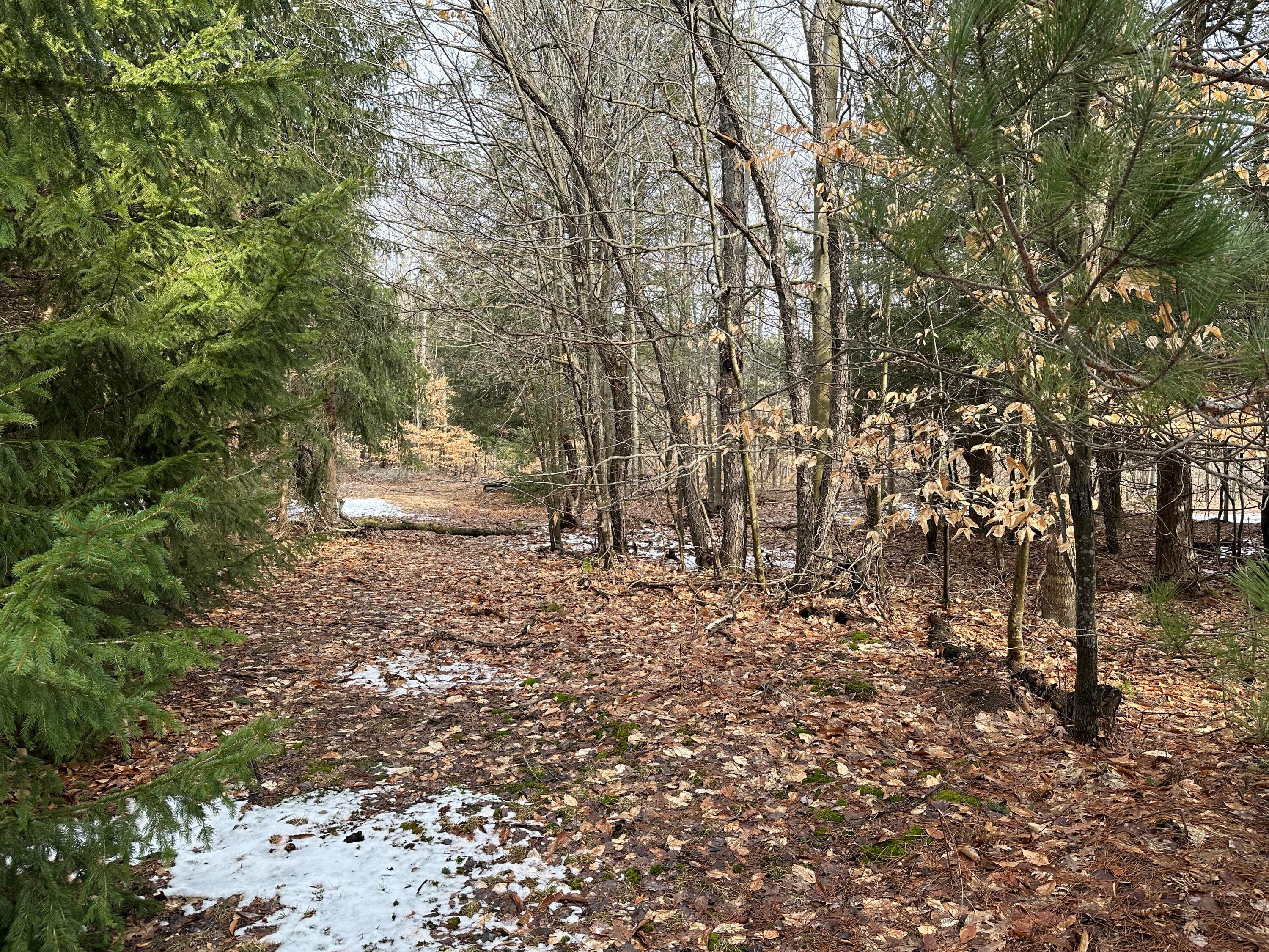 6687 Booty Road Alanson, MI 49706 - Photo 20 of 28 Gallery Image 20