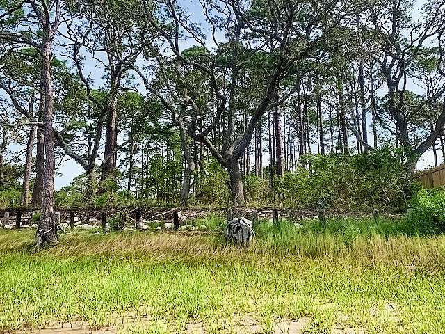 2587 Surf Road Ochlockonee Bay, FL 32346 - Photo 11 of 20 Gallery Image 11