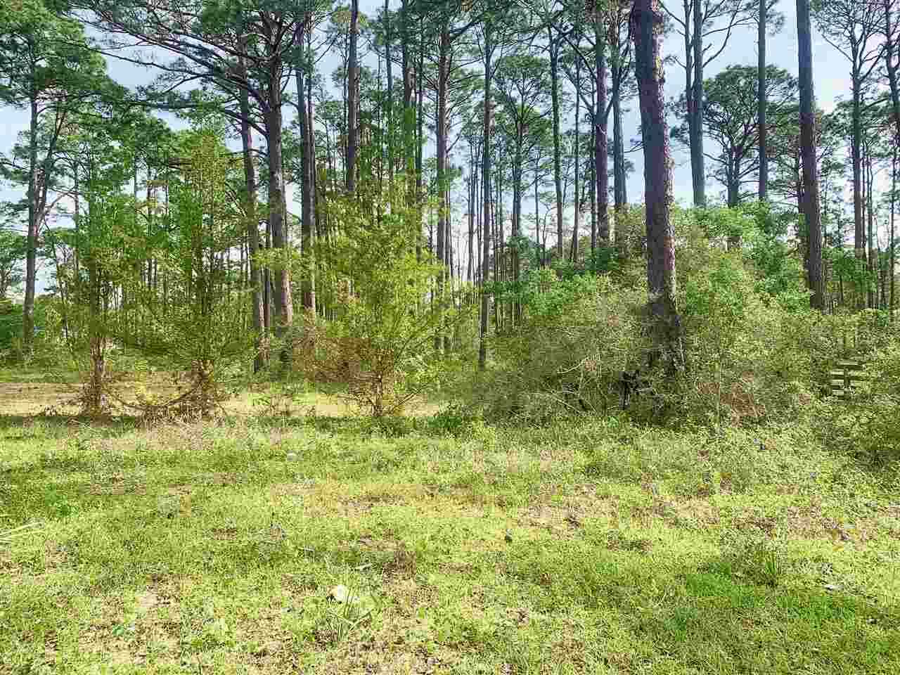 2587 Surf Road Ochlockonee Bay, FL 32346 - Photo 12 of 20 Gallery Image 12