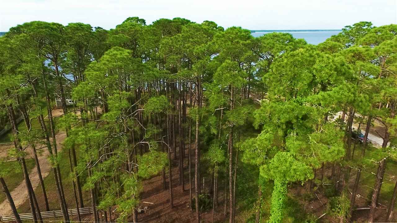 2587 Surf Road Ochlockonee Bay, FL 32346 - Photo 18 of 20 Gallery Image 18