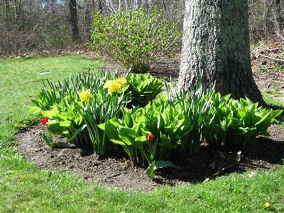 21 Boulder Road Brewster, MA 02631 - Photo 14 of 29 Additional Photo