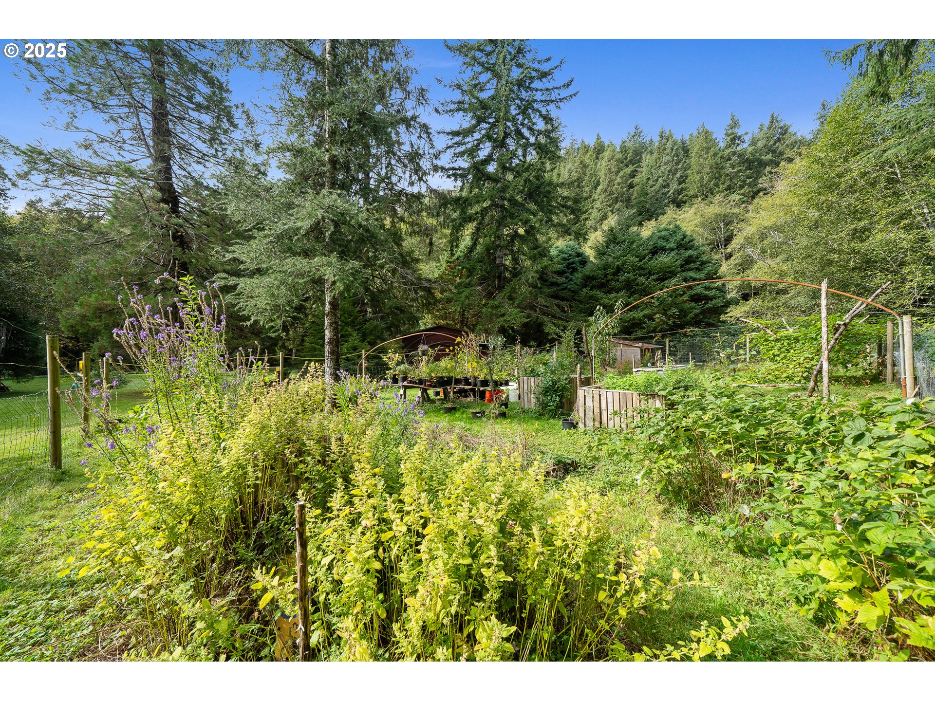 22800 Miami Foley Road Nehalem, OR 97131 - Photo 11 of 48