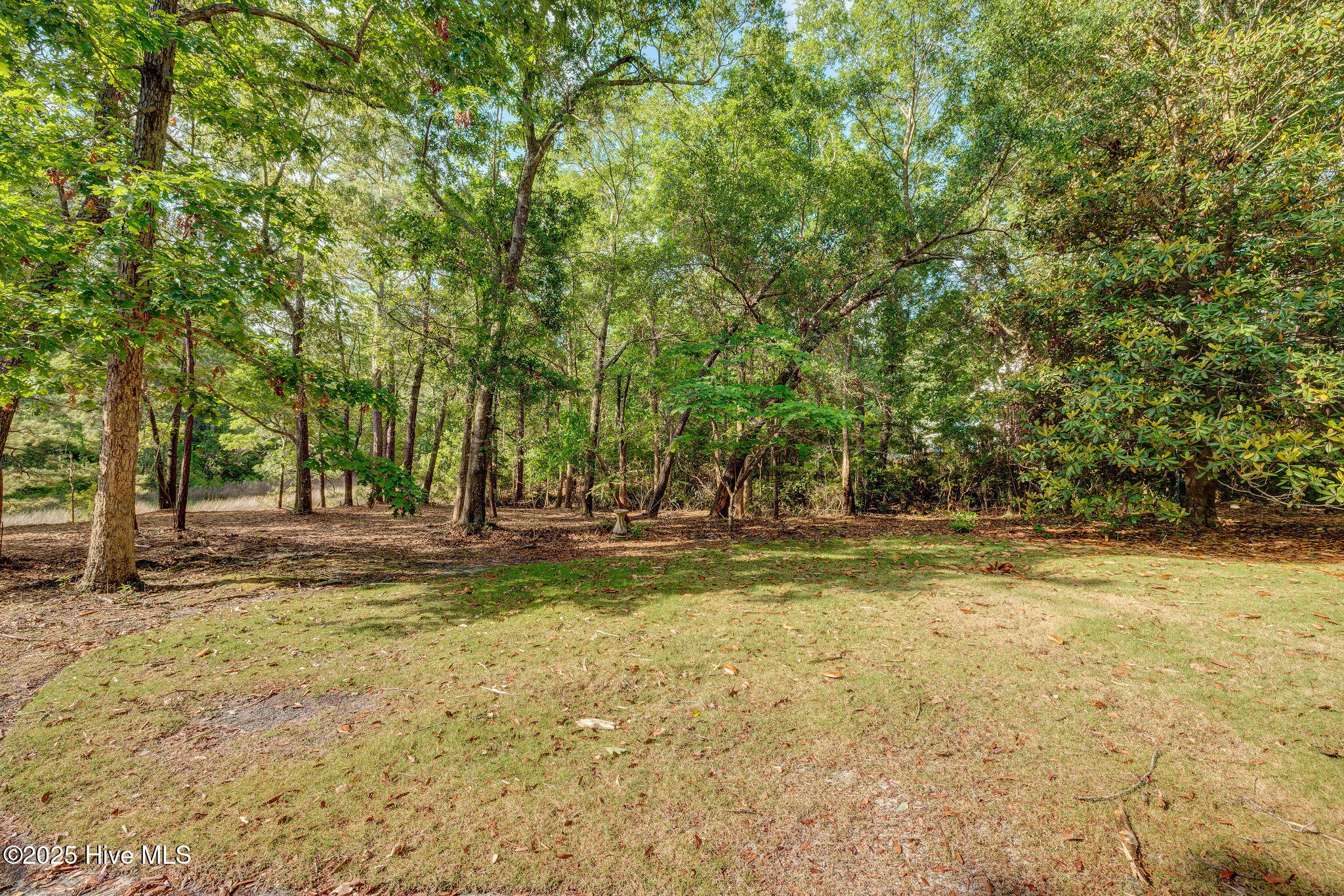 813 Gull Point Road Wilmington, NC 28405 - Photo 22 of 24 813GullPointRoadMarsh-1