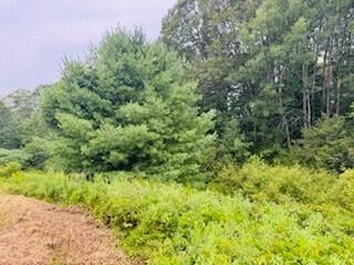 108 B New Meadows Road West Bath, ME 04530 - Photo 11 of 20 Swale - 1
